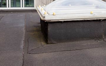 disadvantages of Pinckney Green flat roofs