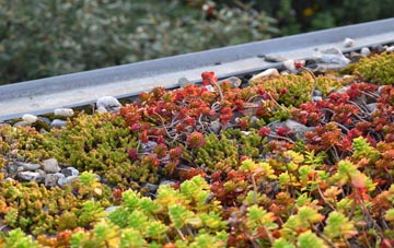 the cost of Pinckney Green green roof installation