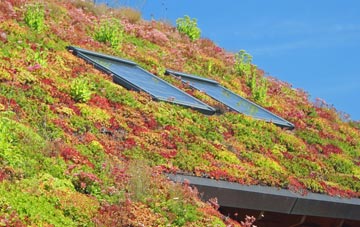 Pinckney Green living roof systems