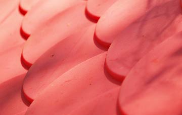 Pinckney Green plastic roof costs