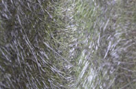 Pinckney Green fibreglass roof work